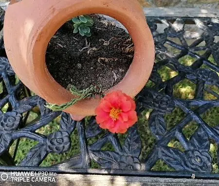 Litsa's House Platanias * أغيا باراسكيفي