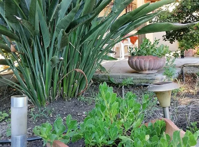 Litsa's House Platanias Agia Paraskevi (Skiathos)