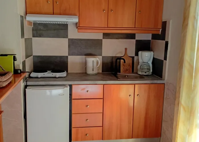 Apartment Litsa's House Platanias Agia Paraskevi (Skiathos)