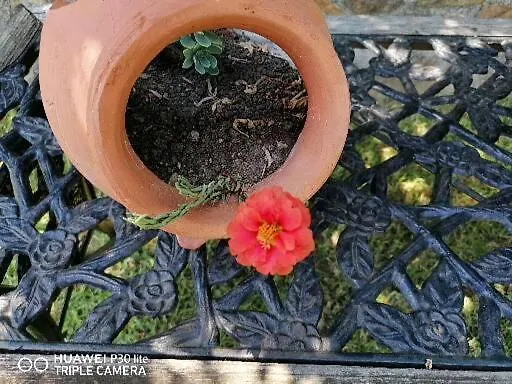 Litsa's House Platanias * Ajía Paraszkeví