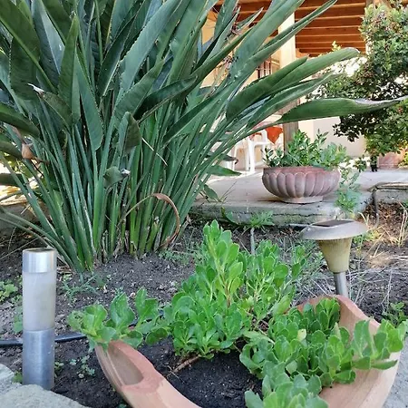 Litsa's House Platanias Agia Paraskevi (Skiathos)