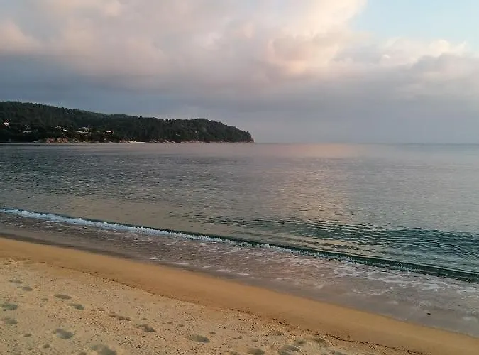 Litsa's House Platanias Διαμέρισμα