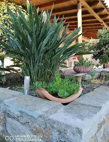 Διαμέρισμα Litsa's House Platanias *